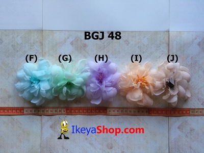BGJ 48 F J  large2